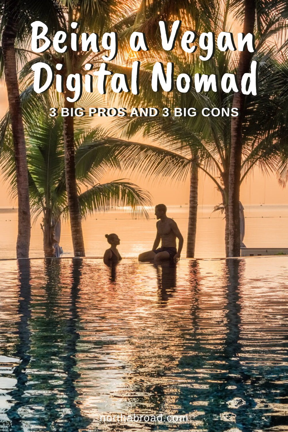 3 Big Pros (and 3 Big Cons) of Being a Vegan Digital Nomad