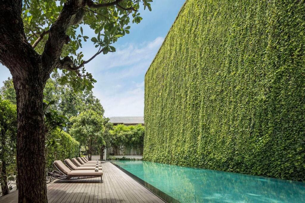 Green wall and pool at 137 Pillars House
