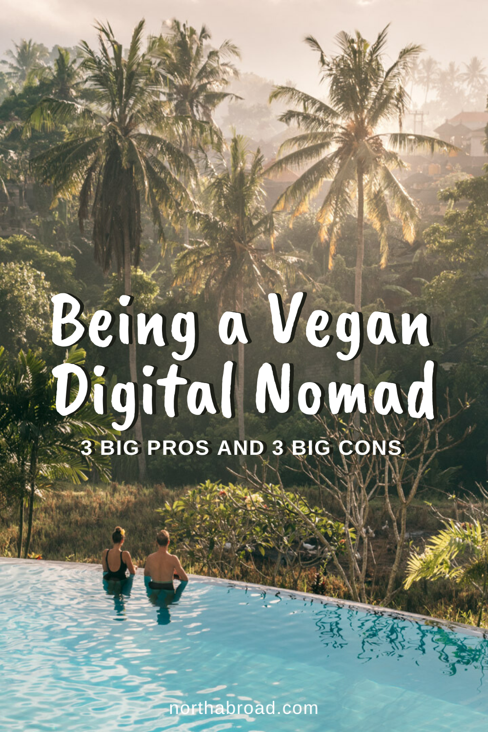 3 Big Pros (and 3 Big Cons) of Being a Vegan Digital Nomad
