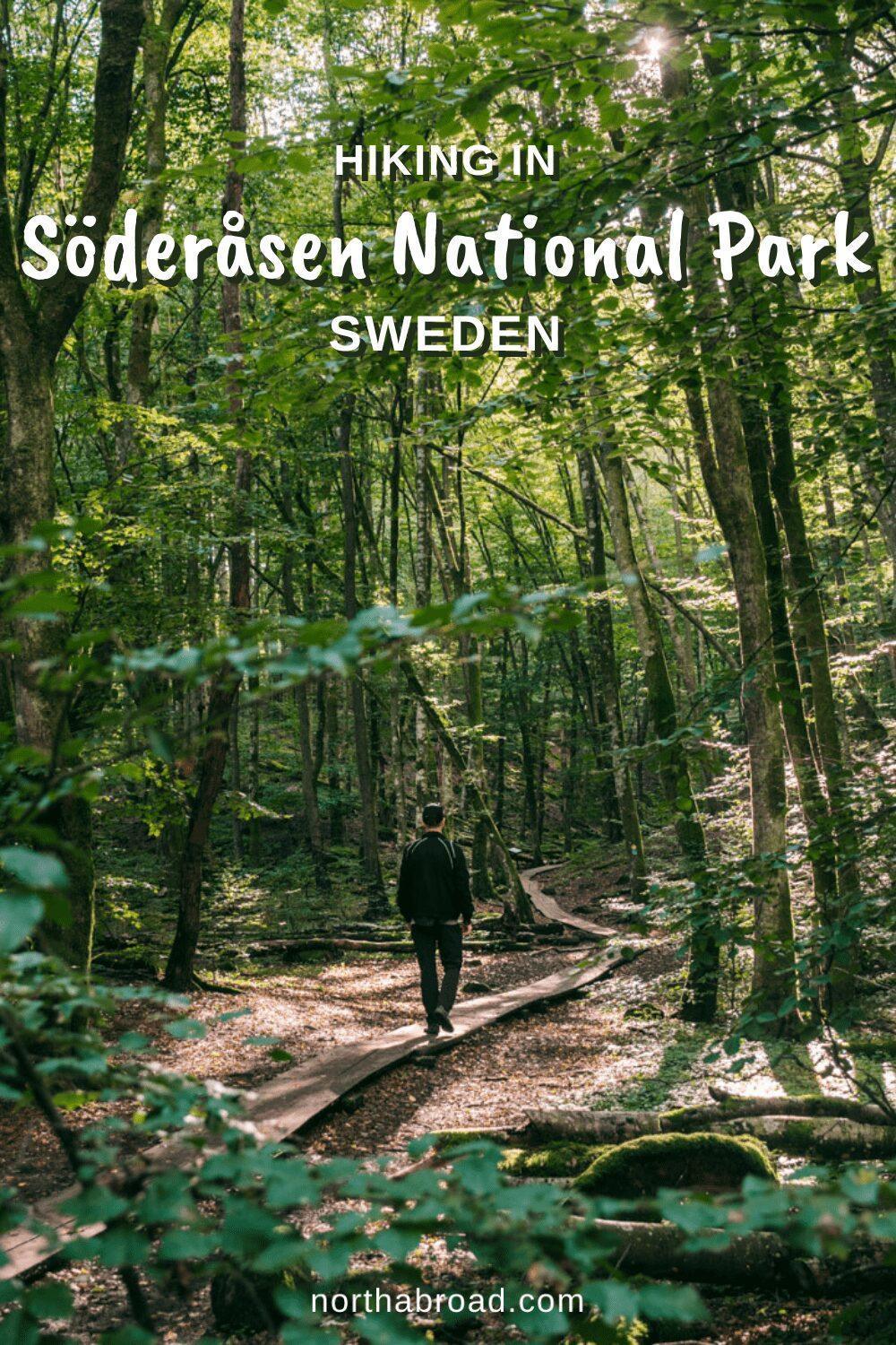 Hiking in Söderåsen National Park in Scania, Sweden