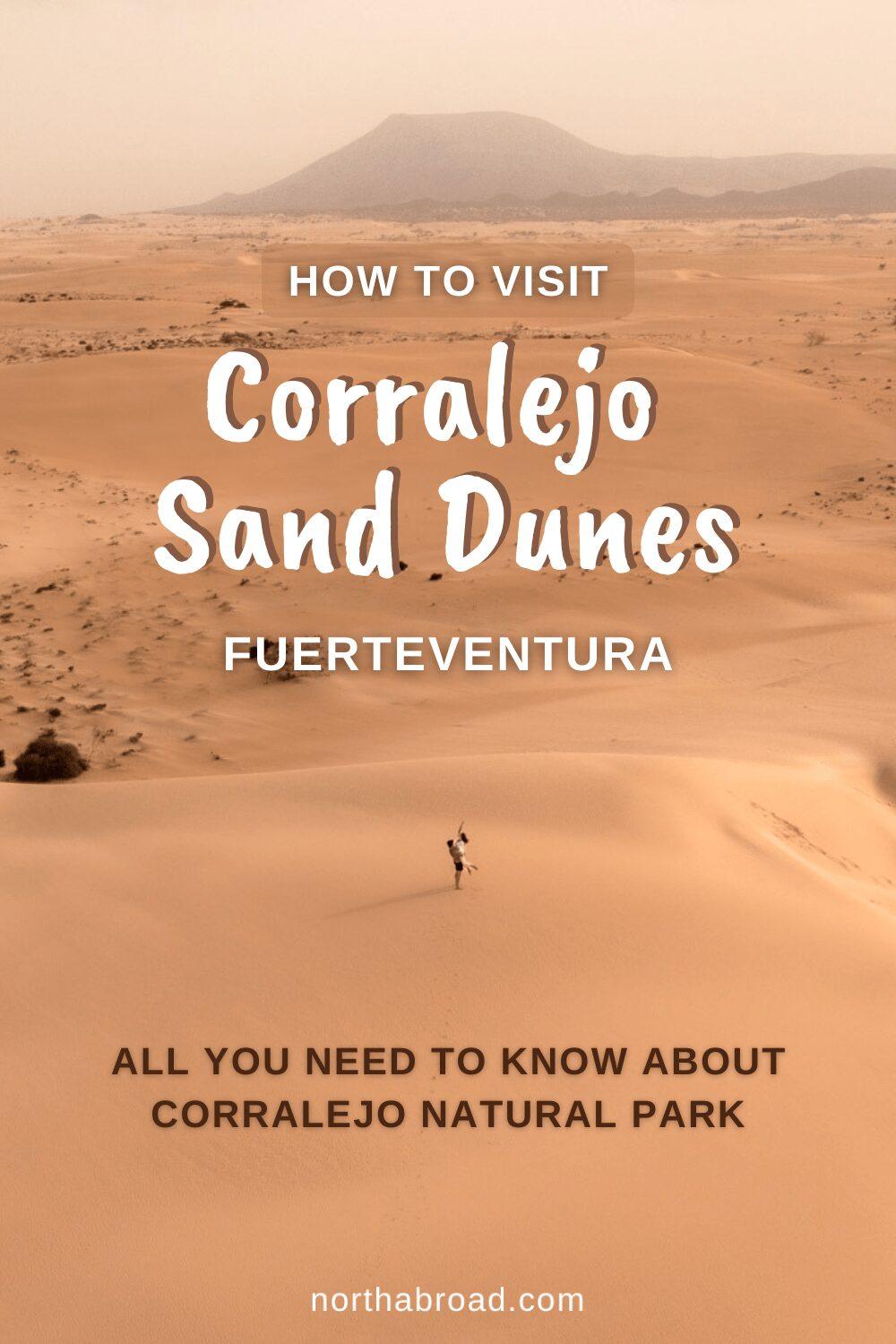 Everything you need to know about the sand dunes in Corralejo Natural Park including where to find the dunes, our best tips and lots of photos.