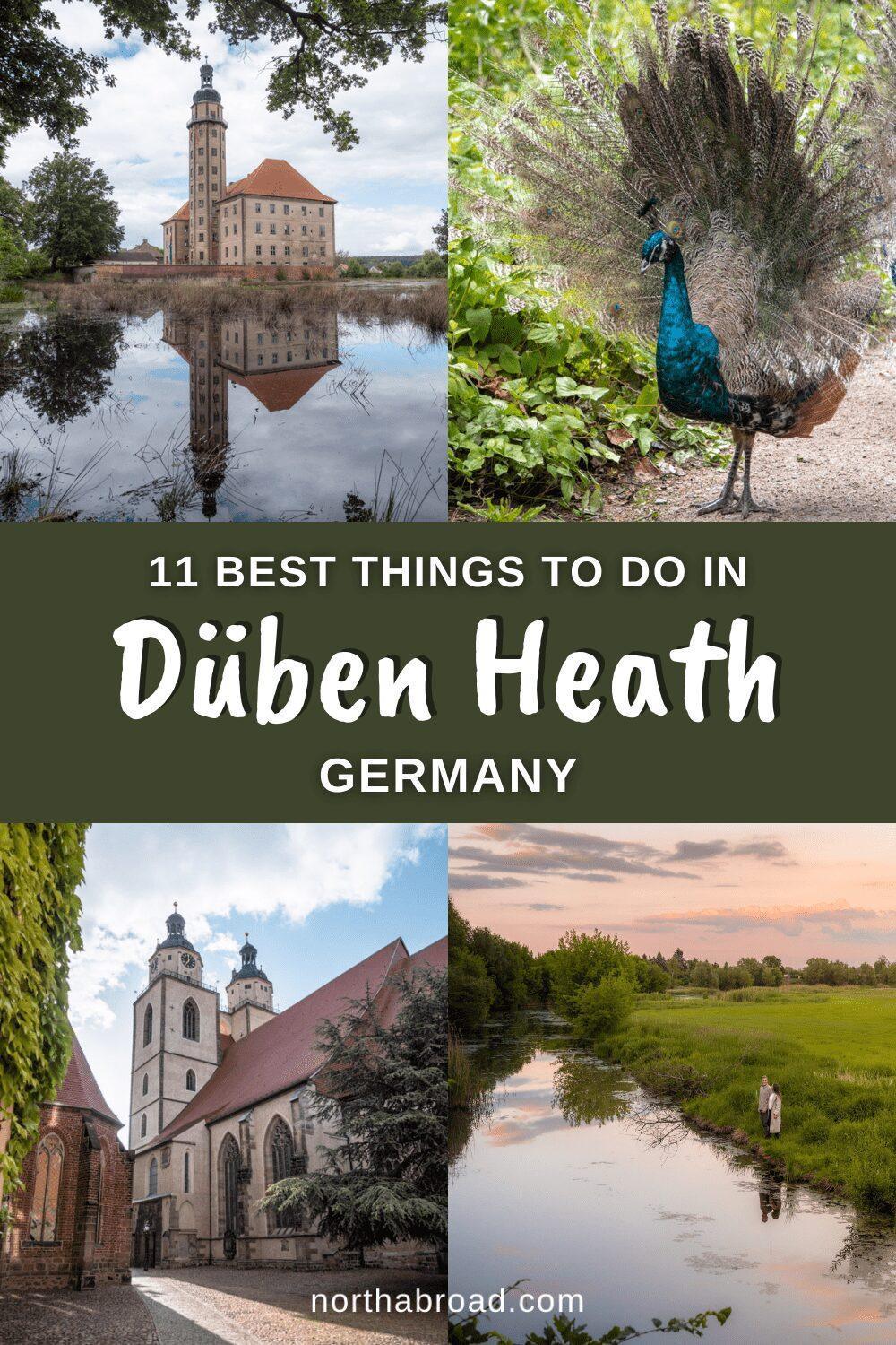 Düben Heath Travel Guide: 11 Best Things To Do & See
