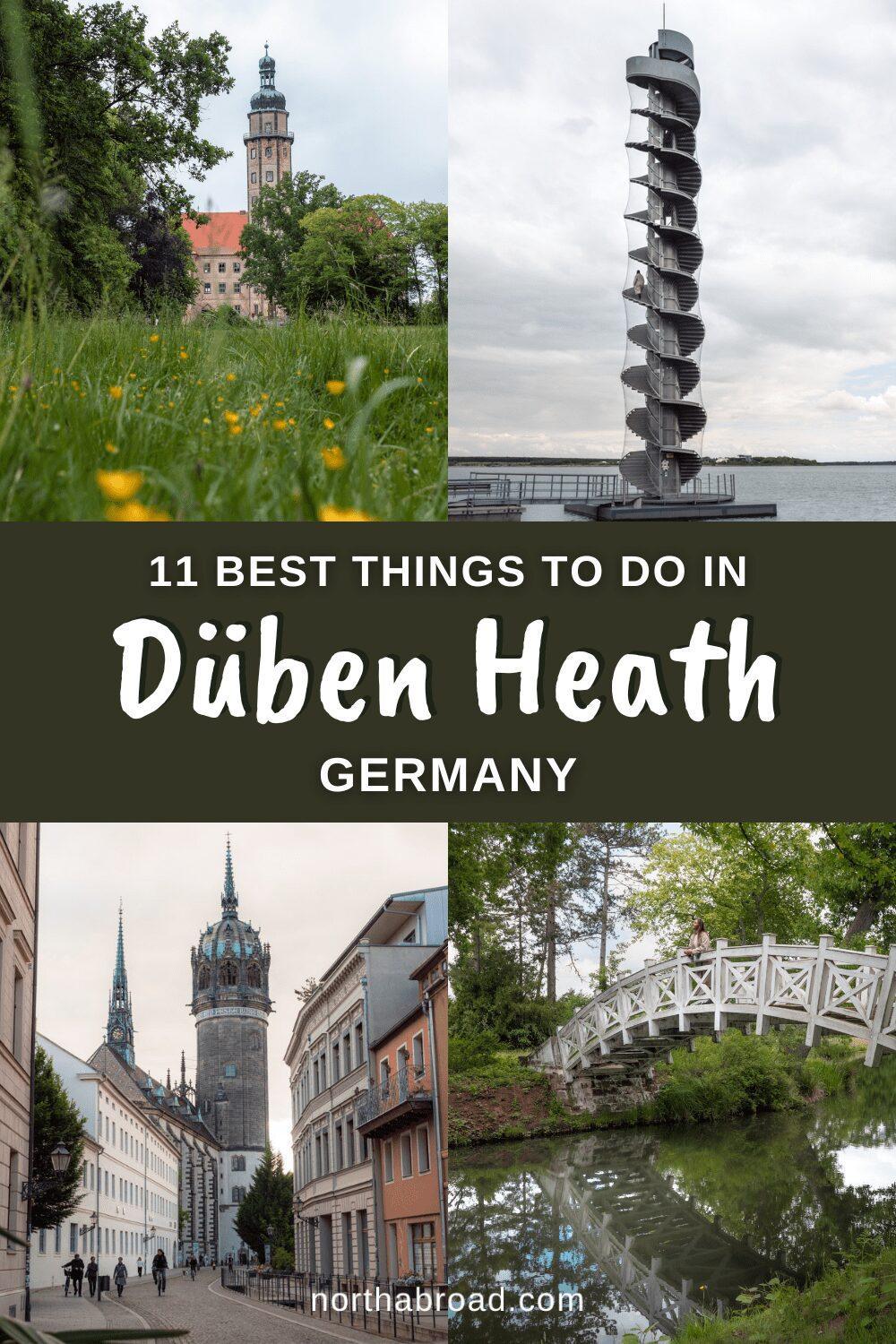 Düben Heath Travel Guide: 11 Best Things To Do & See