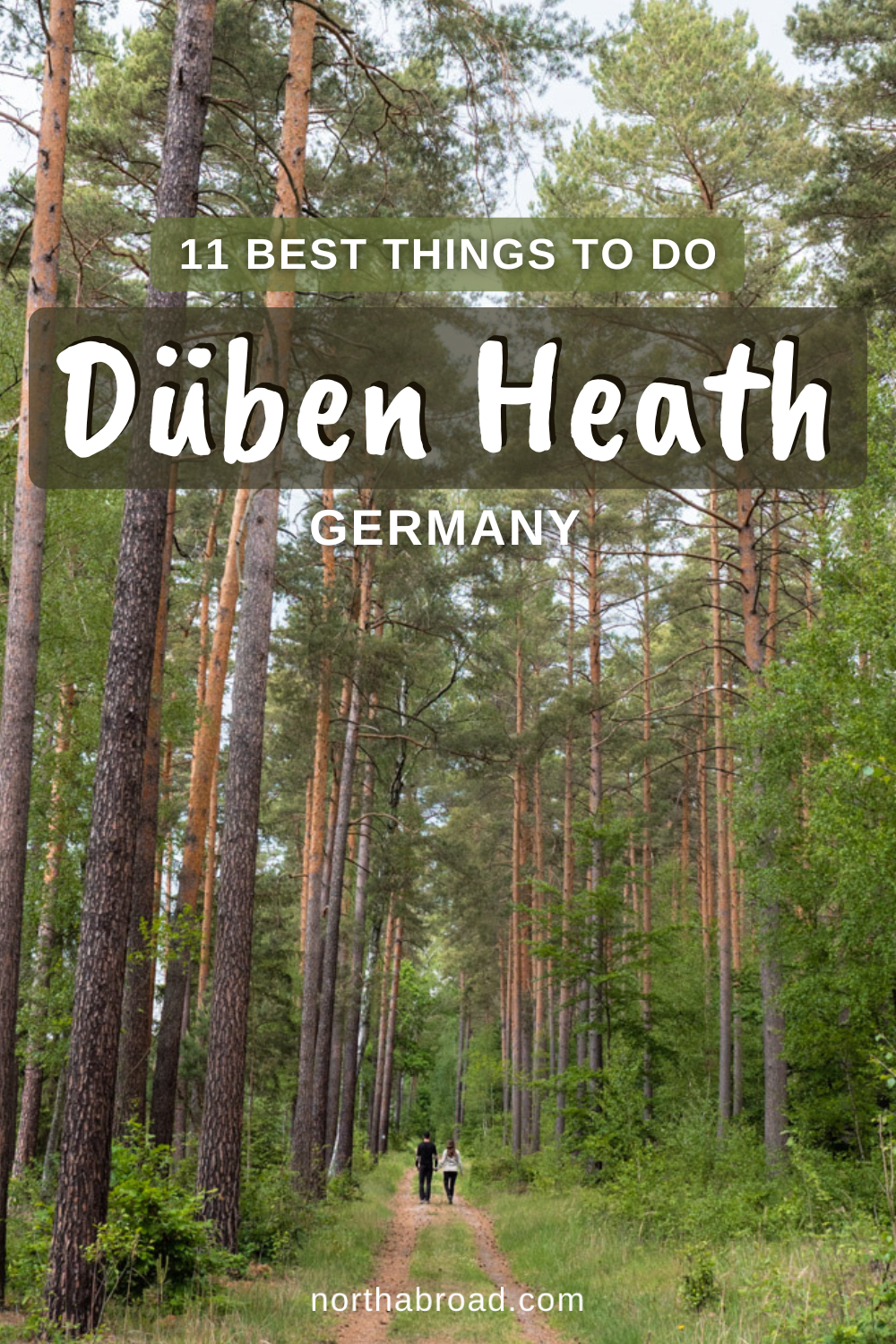 Düben Heath Travel Guide: 11 Best Things To Do & See