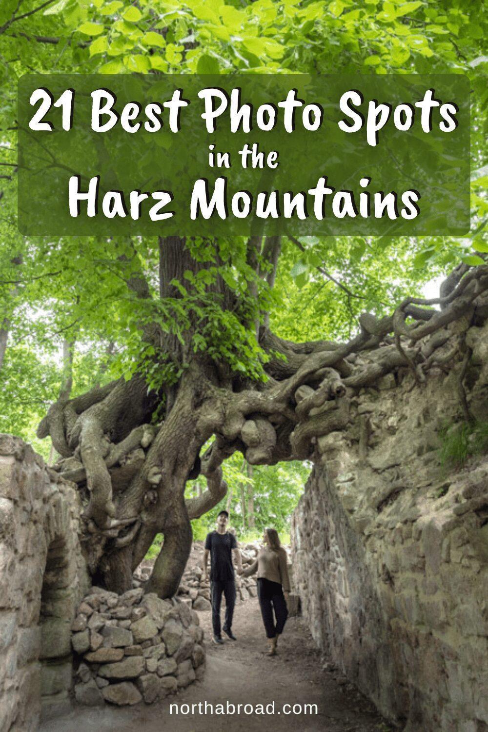 Harz Mountains: Where To Find the Best Photo Spots & Most Beautiful Viewpoints (21 Ideas)