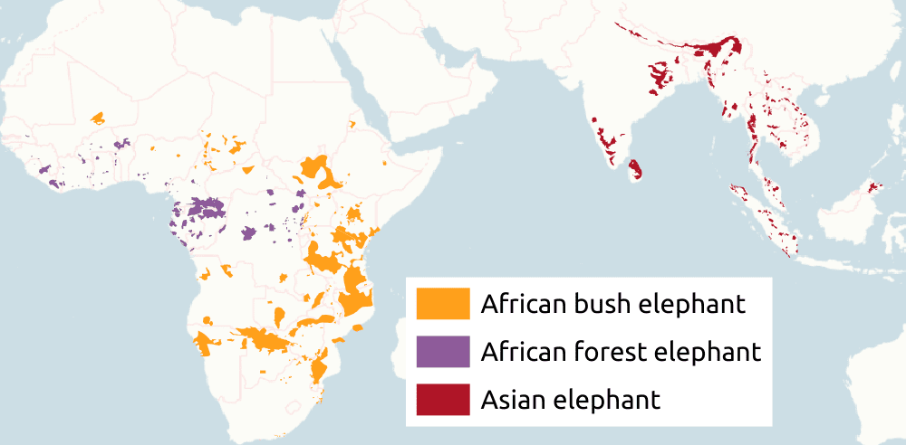 Map of elephants in the world