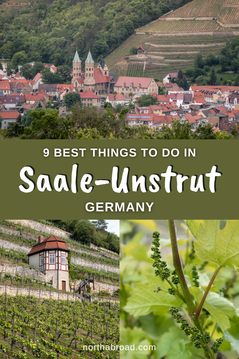 Saale-Unstrut Travel Guide: 9 Best Things To Do & See in the German Wine Region