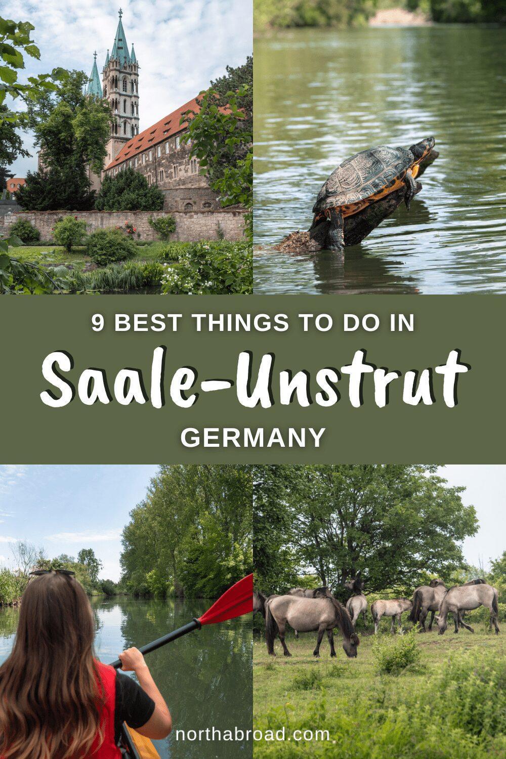 Saale-Unstrut Travel Guide: 9 Best Things To Do & See in the German Wine Region
