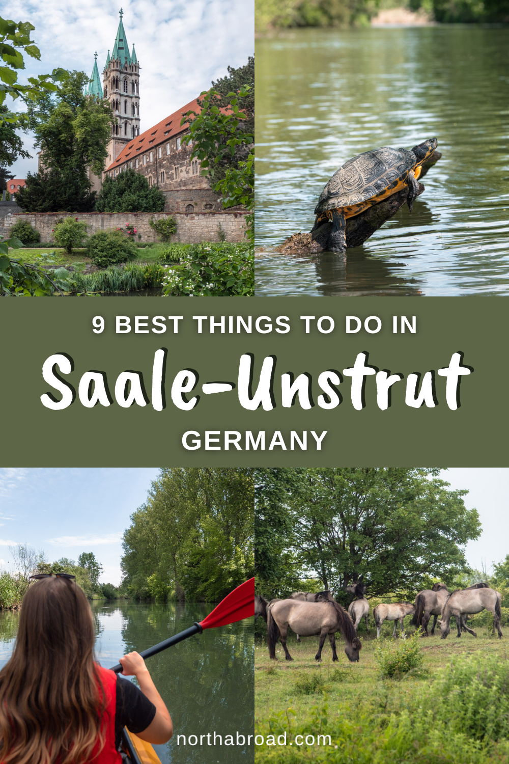 Saale-Unstrut Travel Guide: 9 Best Things To Do & See in the German Wine Region