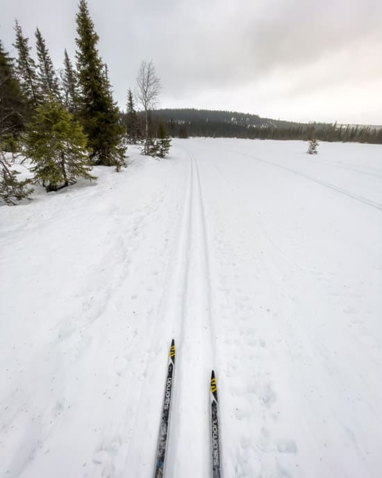 Cross-country skiing at Björnen in Åre