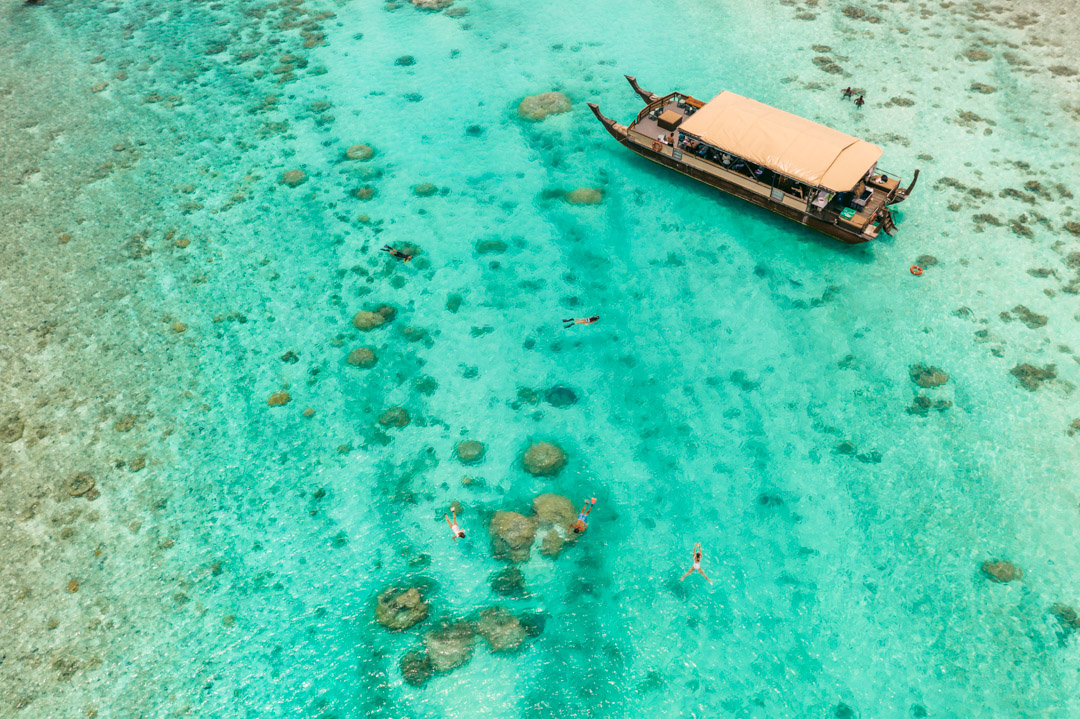 Snorkelling from the boat with Vaka Cruises