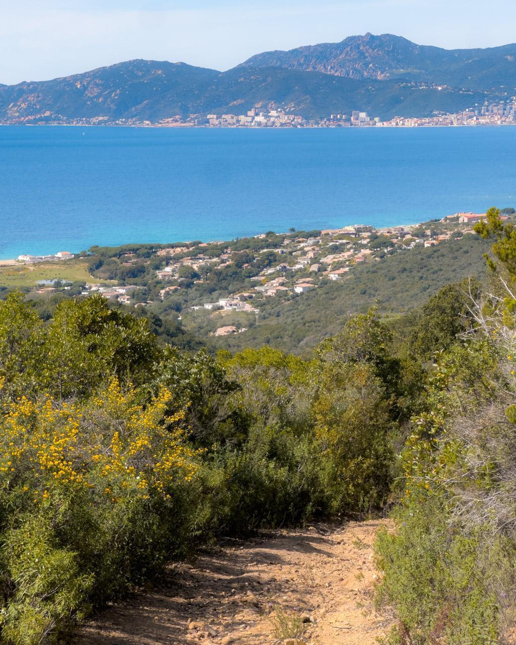 This photo was taken on a trail near Porticcio on the opposite side of the bay of Ajaccio