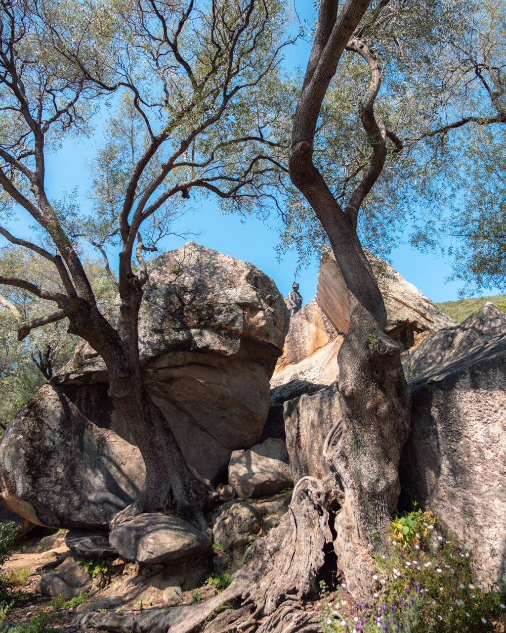 Cave and trees at the Napoleon Monument on Place d’Austerlitz.