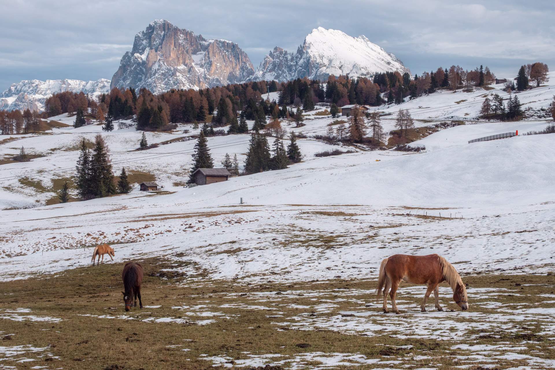 Alpe di Siusi in November