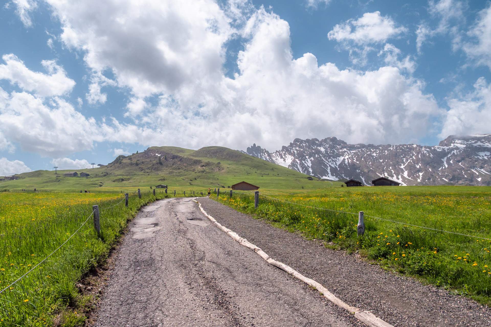 Trail on Alpe di Siusi