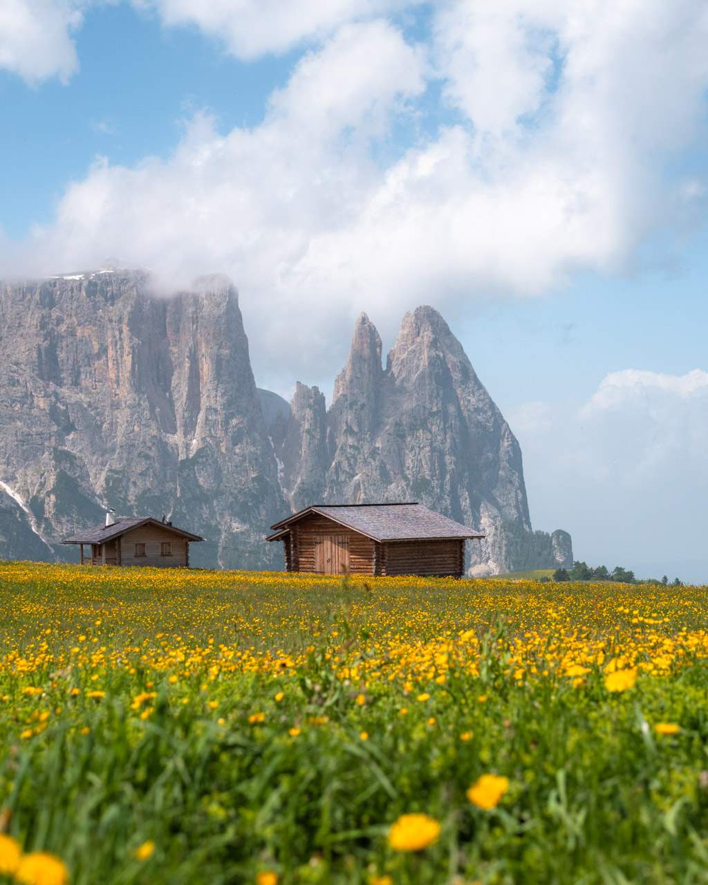 Alpe di Siusi in summer