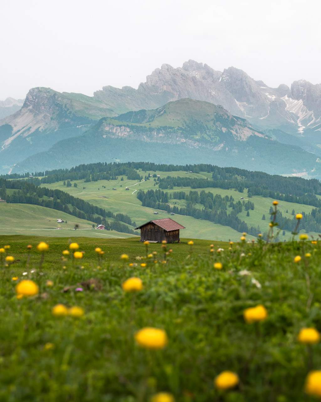 The tranquil charm of Alpe di Siusi