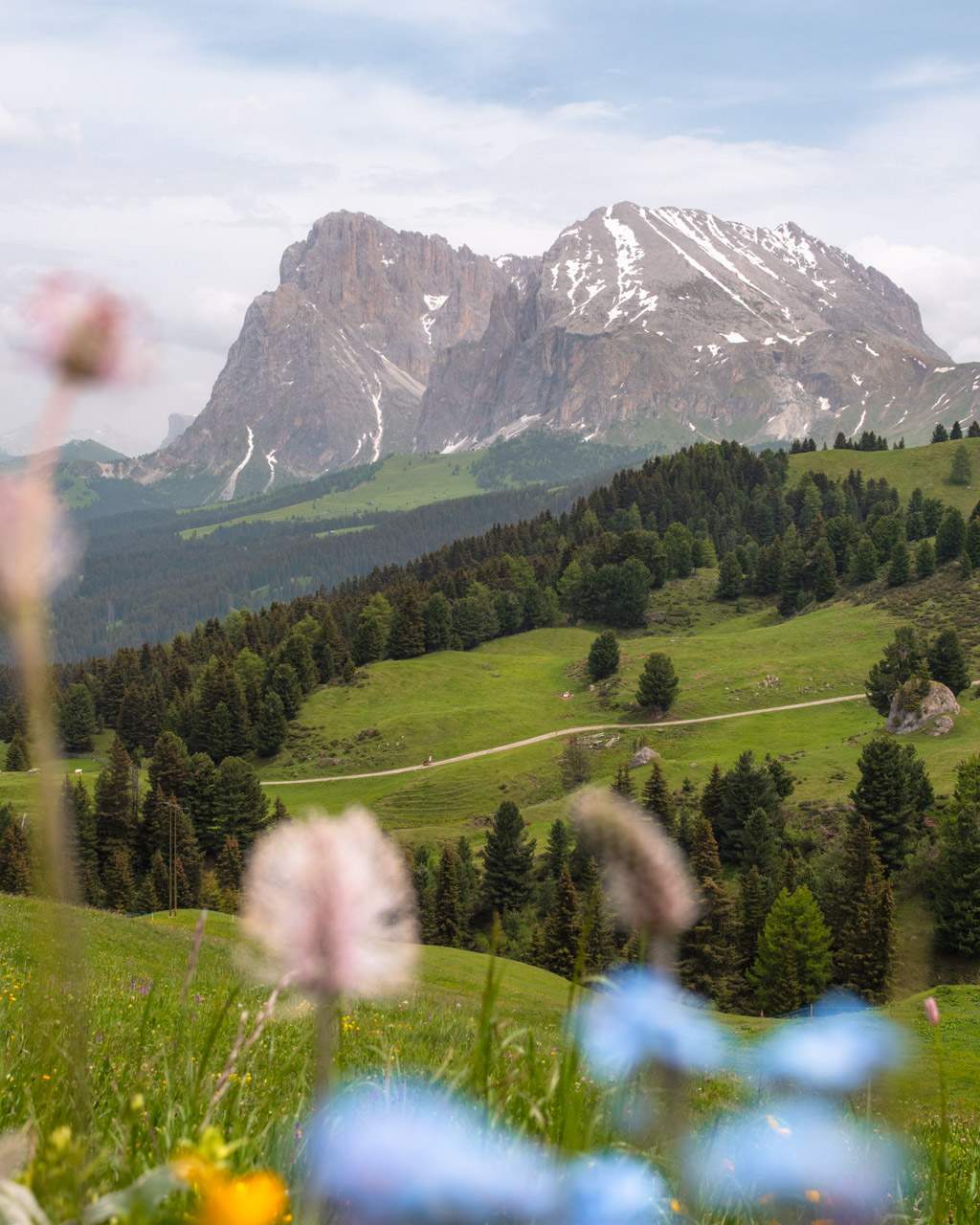 View from Alpe di Siusi