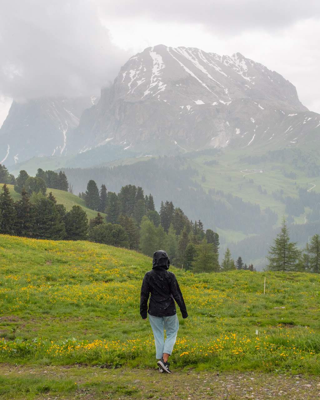 Victoria in the rain on Alpe di Siusi
