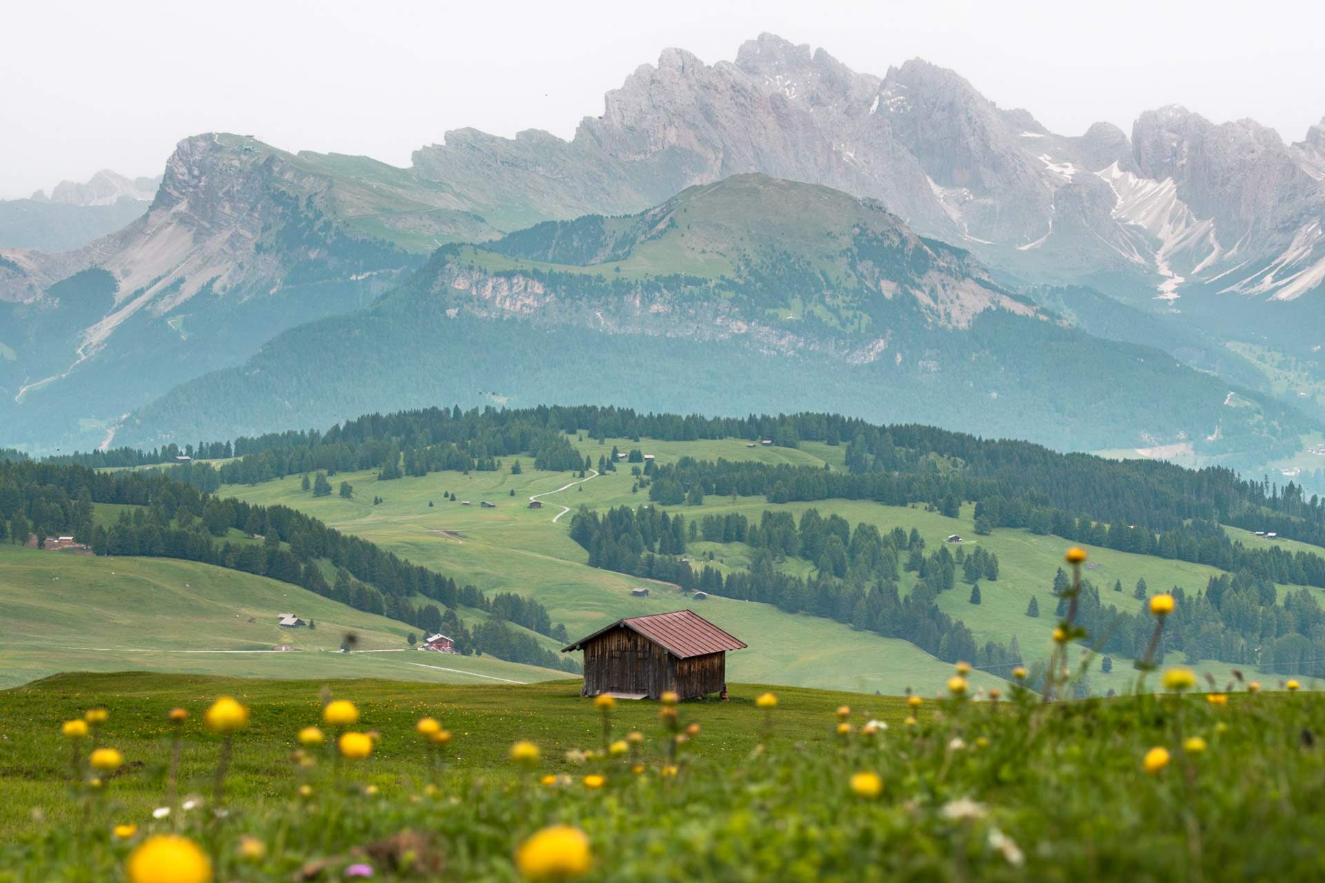 Alpe di Siusi