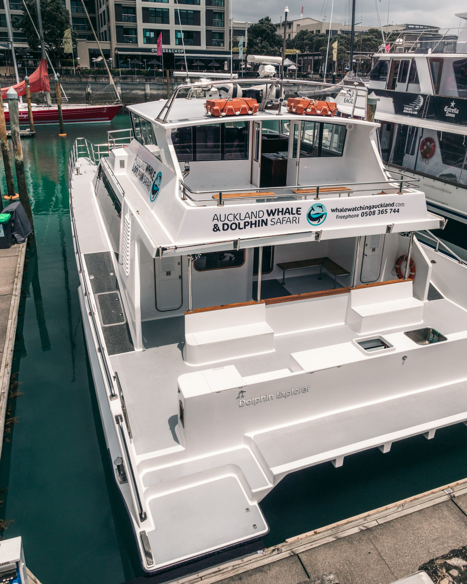 Auckland Whale & Dolphin Safari's "Dolphin Explorer" boat