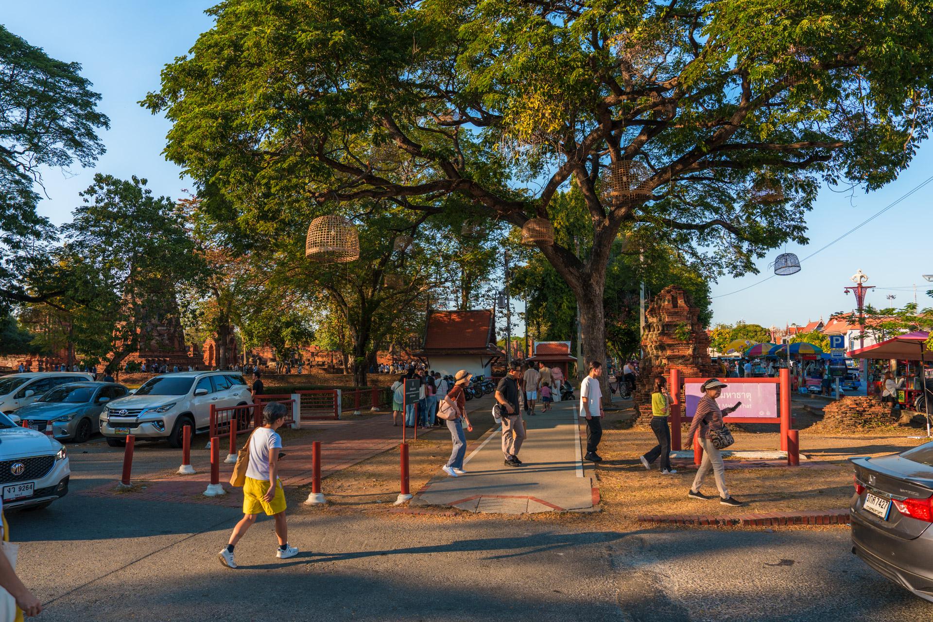The entrance to Wat Mahathat in Ayutthaya