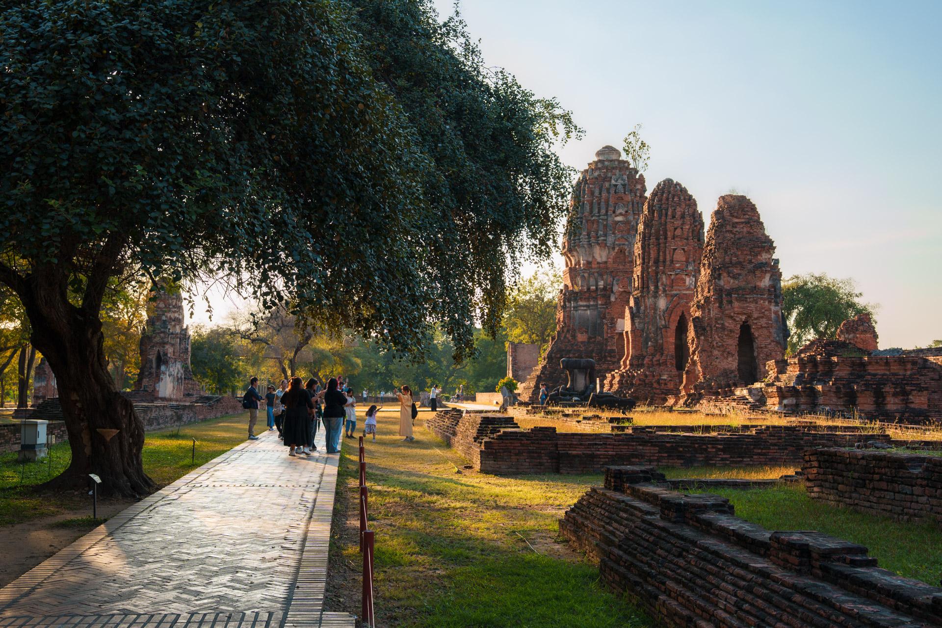 Boulevard with a tree at the left side and three temple buildings to the right, at Wat Mahathat temple in Ayutthaya