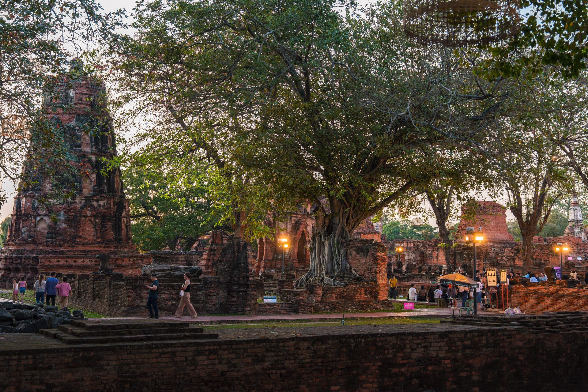 Wat Mahathat at dusk