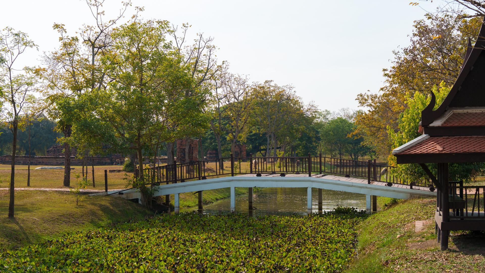 The Ayutthaya Historical Park