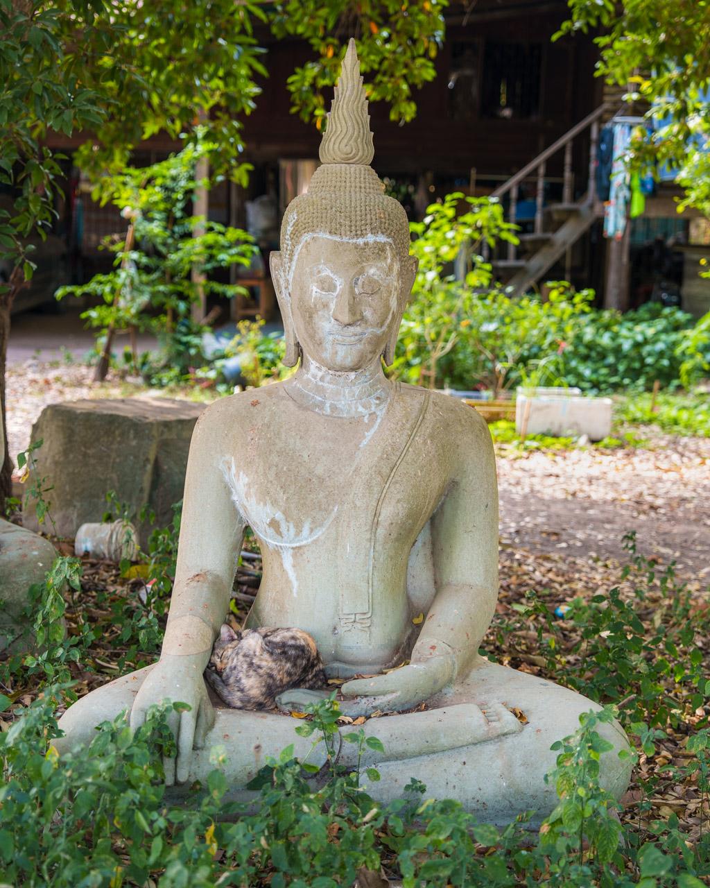 Buddha statue with a cat taking a nap in its lap
