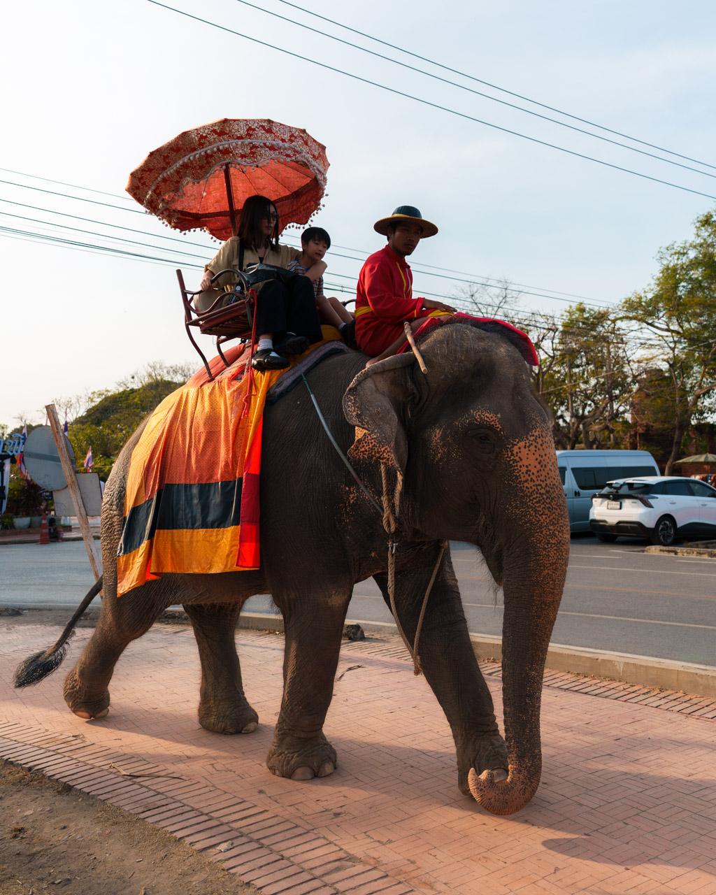 Two people riding an elephant and a mahoot in Ayutthaya