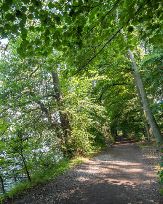 The hiking trail along the southern shore of Großer Segeberger See