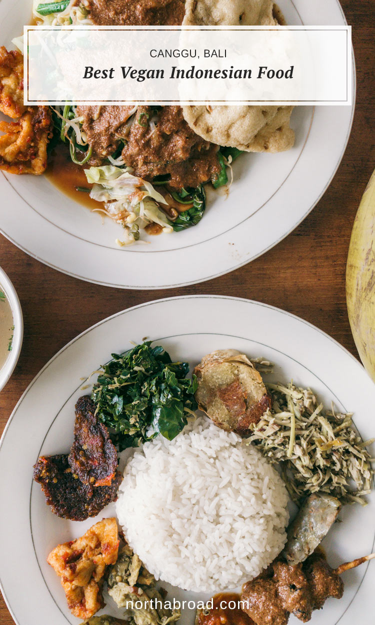 Everything you need to know about finding the most delicious Indoneisan vegan and vegetarian places in Ubud, Canggu in Indonesia.