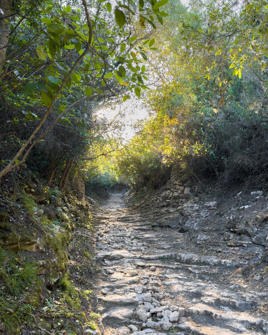 These are the stone stairs leading up from behind the harbour and into the nature reserve