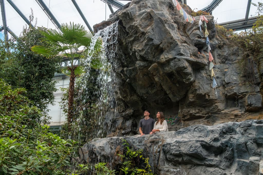 Indoor waterfall at Botanika