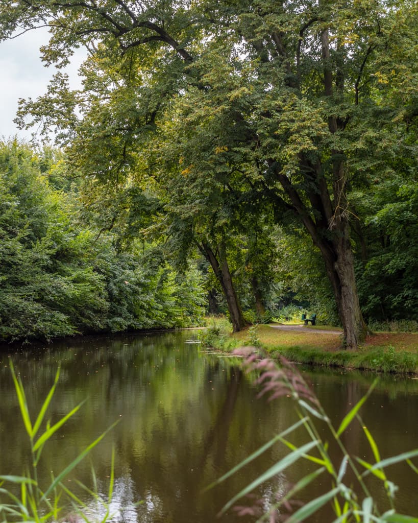 River in Bremen's Bürgerpark