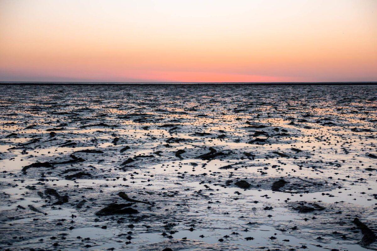 Büsum Travel Guide: 10 Best Things To Do & See by the Wadden Sea