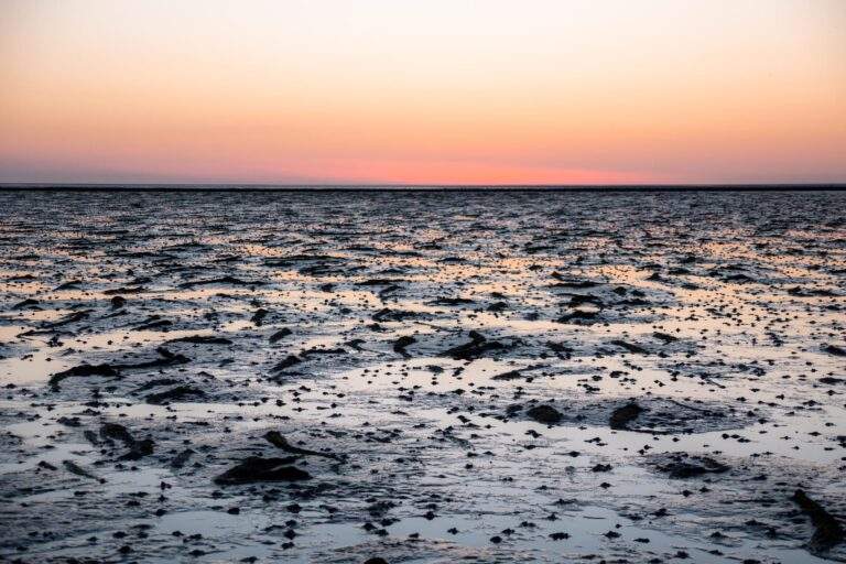 <em></noscript>Büsum Travel Guide:</em> 10 Best Things To Do & See by the Wadden Sea