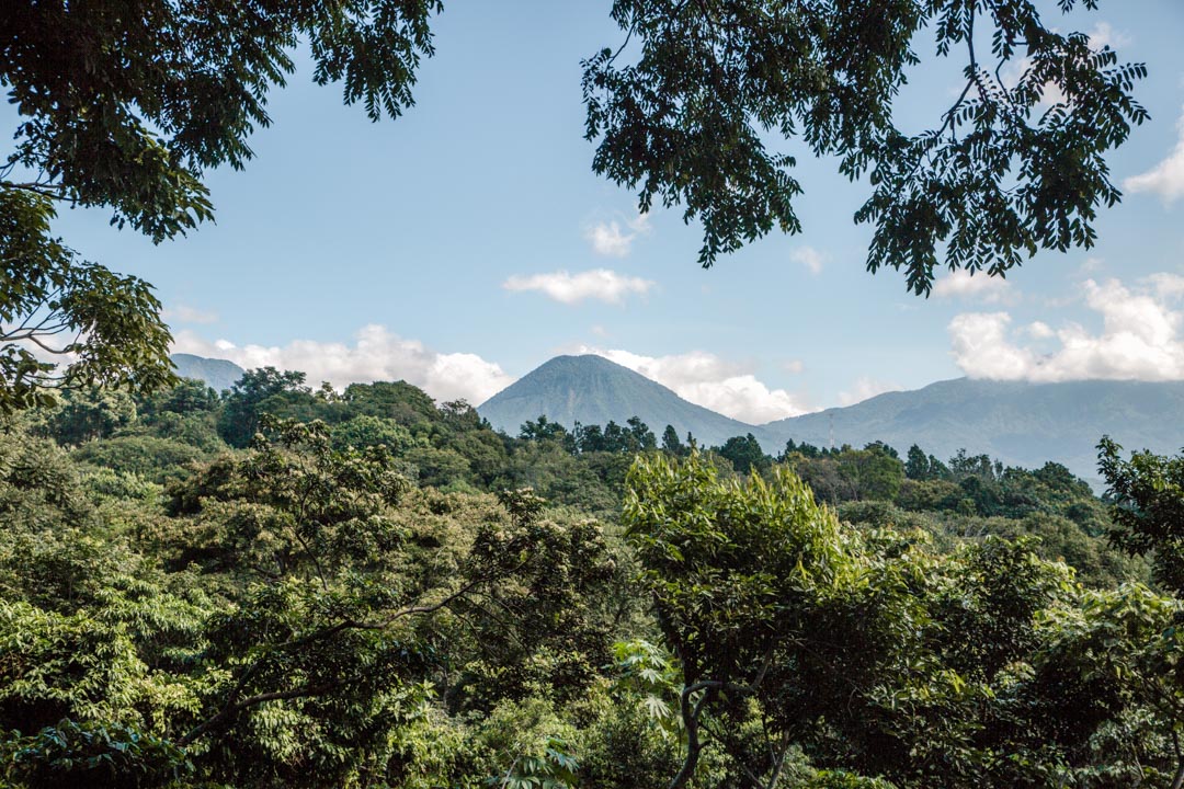 El Salvador jungle