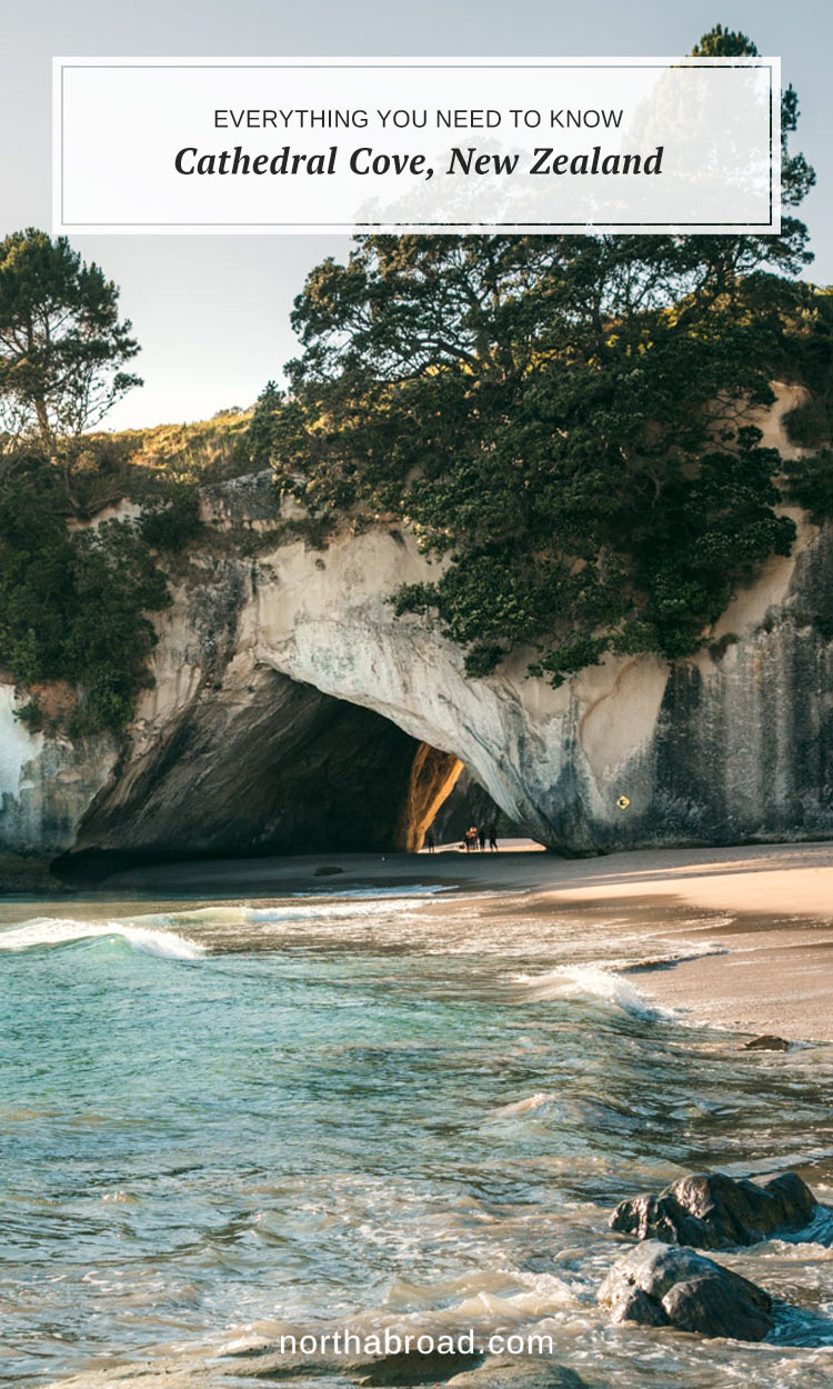 Everything you need to know about the famous Cathedral Cove on the North Island in New Zealand #newzealand #travel #northisland #coromandel