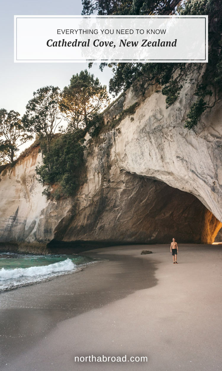 Everything you need to know about the famous Cathedral Cove on the North Island in New Zealand #newzealand #travel #northisland #coromandel