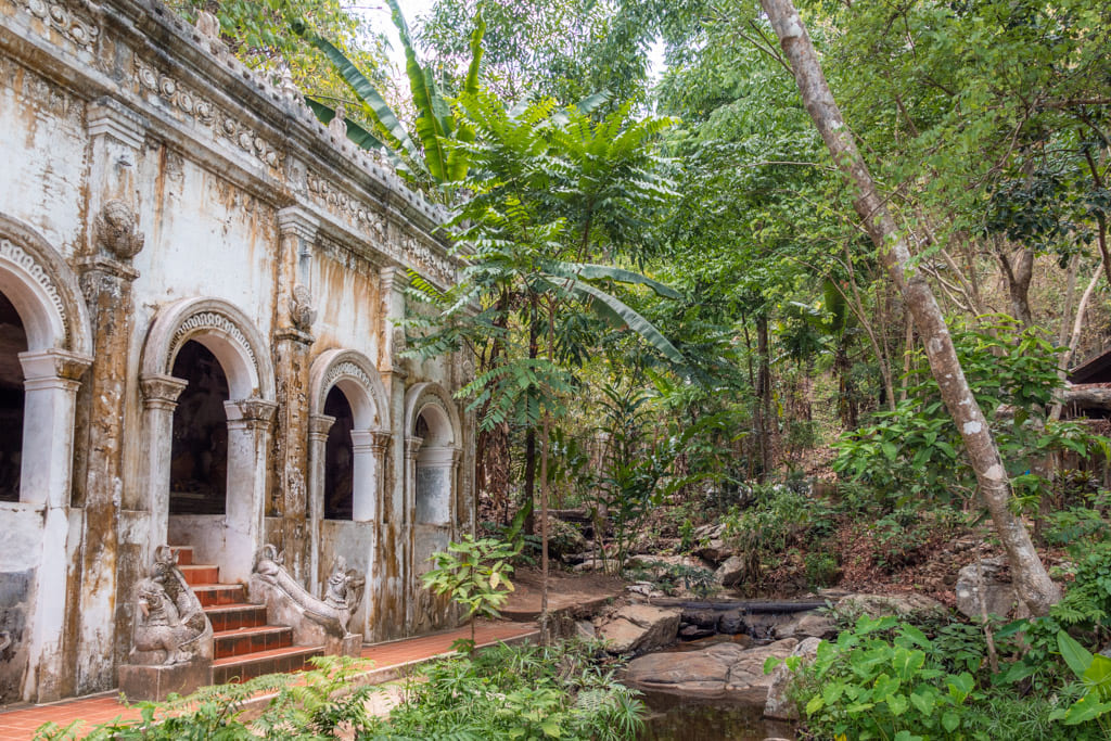 Nature at Wat Pha Lat