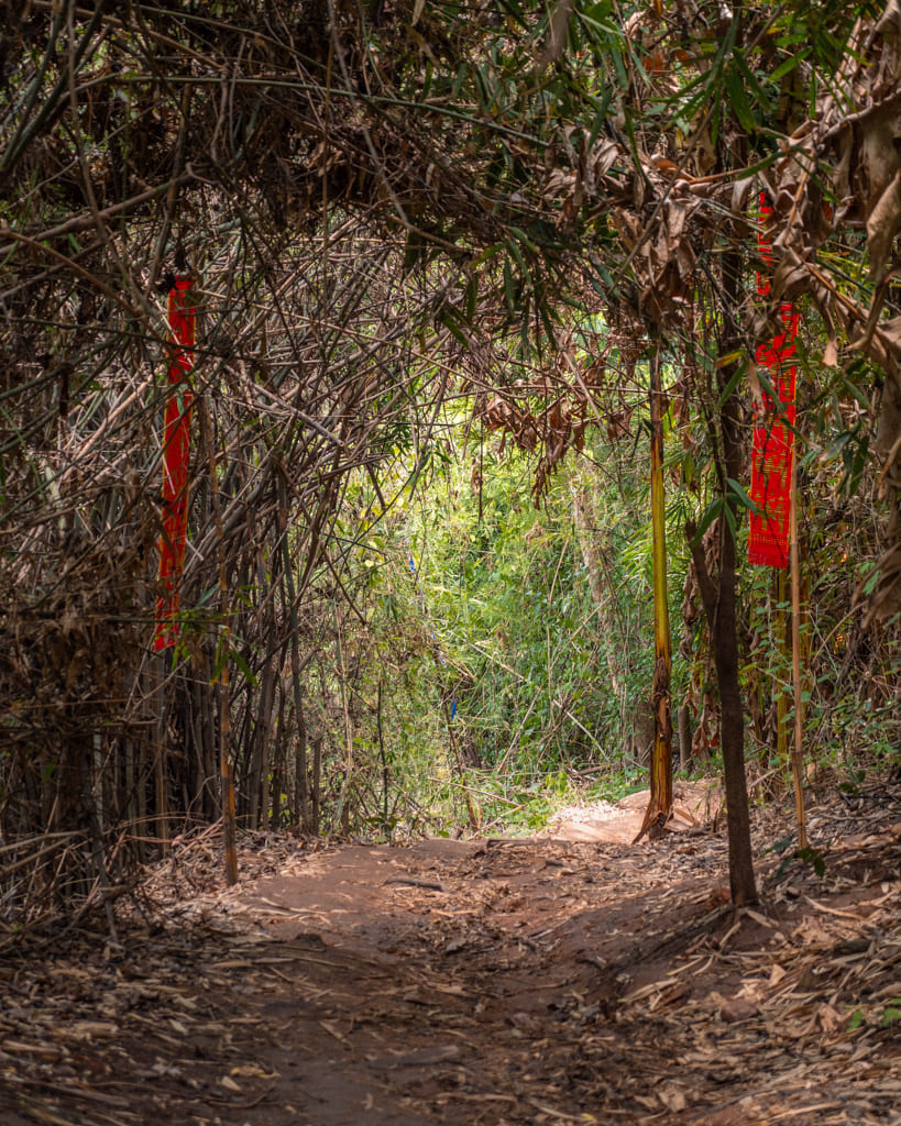 Monk's Trail in Chiang Mai