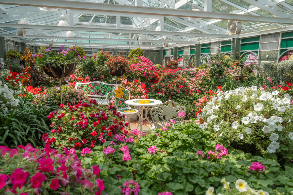 Flower garden in Royal Park Rajapruek