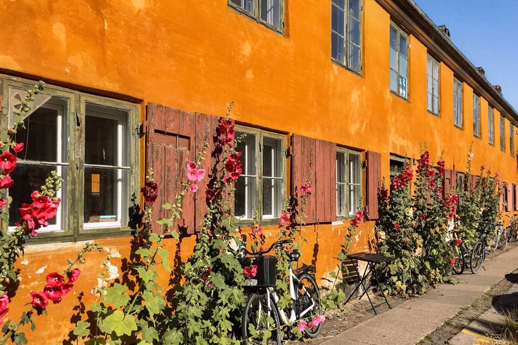 Red hollyhocks at Nyboder