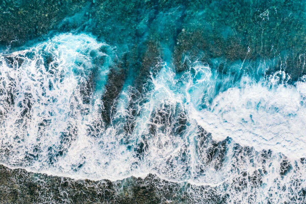 Life in the Ocean: 7 Important Documentary Films You Need to Watch