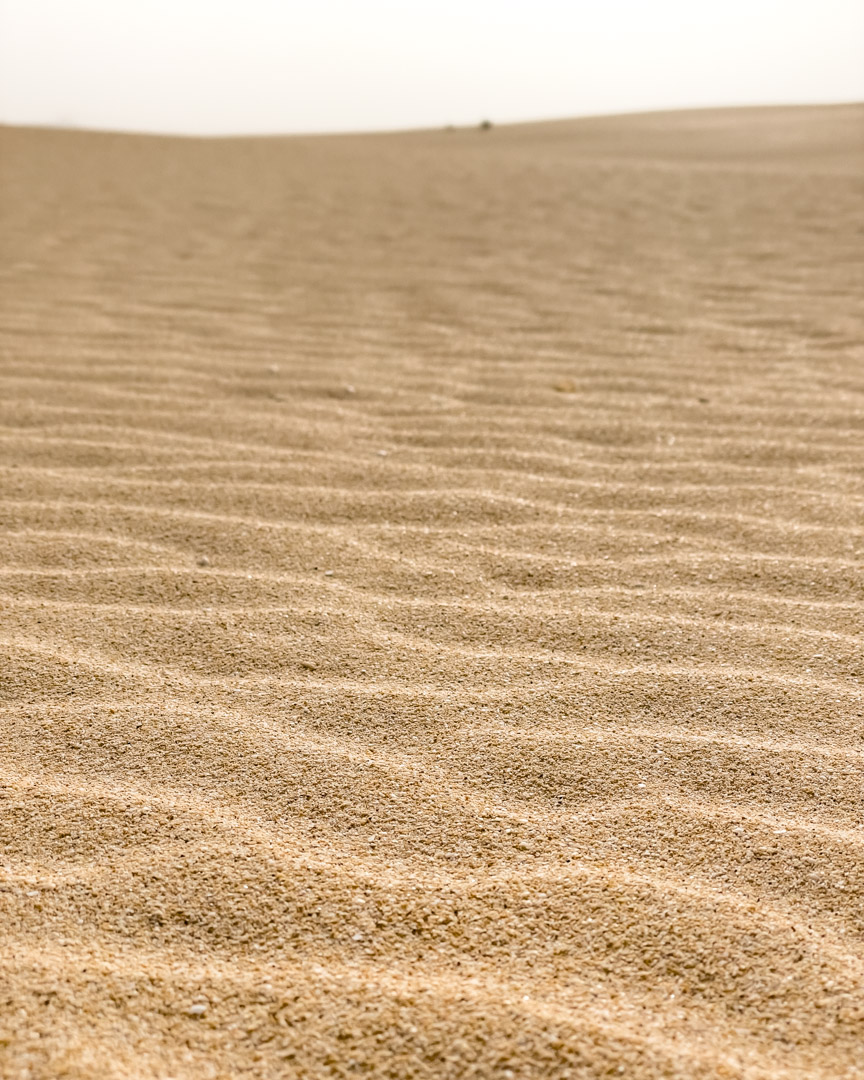 Close-up of sand ripples
