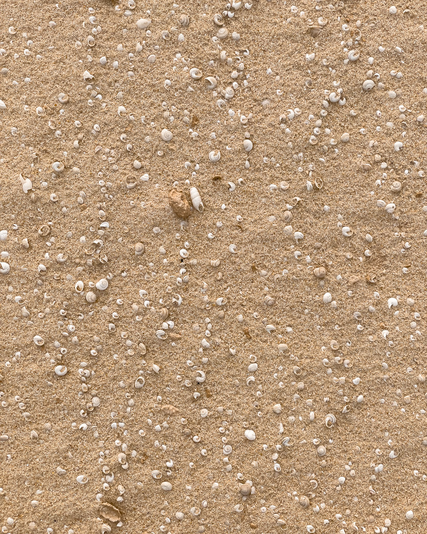 Sand with small shells