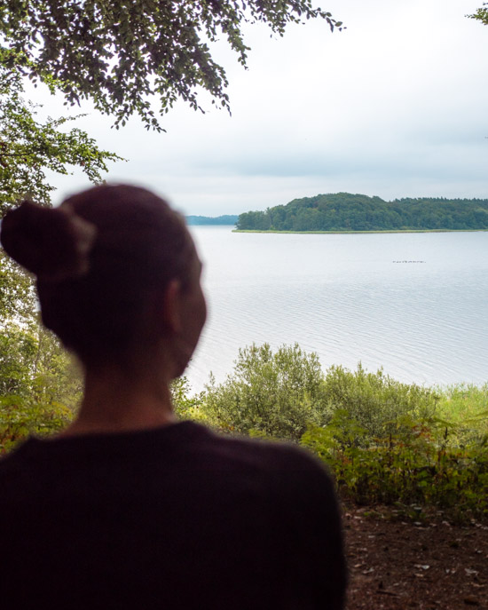 Lake Schaalsee with Victoria in the foreground