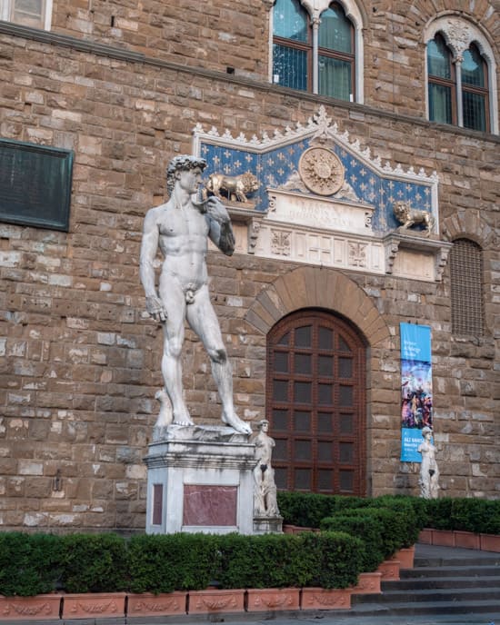 David from David and Goliath at Palazzo Vecchio